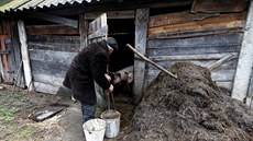 Devadesátiletý Ivan amjanok ije v bloruské vesnici Tulgovii. Navzdory...