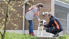 Zlínský útulek pro zví�ata v nouzi na Vr�av�.