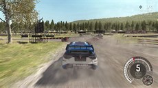 Dirt Rally (PS4)