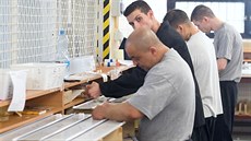 Odsouzení ve Vznici Rýnovice pracují pi montái svítidel.