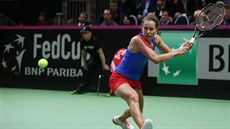 Barbora Strýcová v duelu s Viktorijí Golubicovou