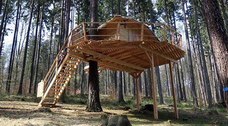 Spolenost Evy Madryov Tree Houses stav domy na stromech. Dv obydl...