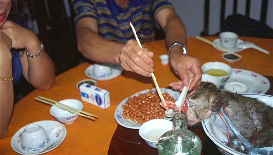 Asijská kuchyn nesdílí evropské konvence, jedí se tu i opice, krysy i psi.