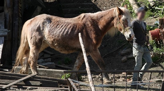 Z usedlosti v osad Mník na Olomoucku nechala litovelská radnice na popud...