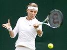 Lucie afáová zdolala v prvním kole Wimbledonu Amerianku Davisovou. (24....