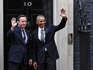 Barack Obama navtívil v Londýn britského premiéra Davida Camerona (22. dubna ...