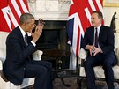 Setkání amerického prezidenta Baracka Obamy s britským premiérem Davidem...