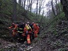 Záchranái spolen s hasii pátrali po dchodkyni v lesích na Karltejnsku,...