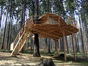 Spolenost Evy Madryov Tree Houses stav domy na stromech. Dv obydl...