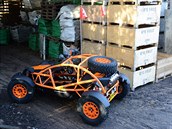 Ariel Nomad