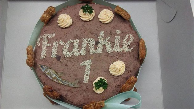 Zákazníci olomoucké psí pekárny neváhají ve slavnostní den pohostit svého čtyřnohého kamaráda i narozeninovým dortem.