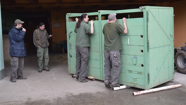 Maruška jede do Francie ve speciálním boxu na přepravu zvířat. Do nákladního automobilu ho musel umístit jeřáb. (26. dubna 2016)