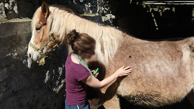 Z usedlosti v osad� M�n�k na Olomoucku nechala litovelsk� radnice na popud veterin�rn� spr�vy odv�zt kon� t�ran� n�kolik m�s�c� hlady. Zam��ili do n�hradn� p��e.
