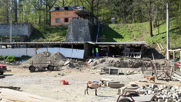 Z usedlosti v osad Mnk na Olomoucku nechala litovelsk radnice na popud veterinrn sprvy odvzt kon tran nkolik msc hlady.