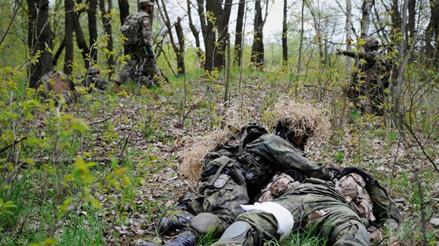 Padestka eskch vojk absolvovala v Pslavicch ttdenn kurz pod vedenm pti instruktor americk akademie pro poddstojnky. Vyvrcholil na Libav bojovm cvienm, pi kterm st vojk brn vlajku a druh se ji sna ukoistit. Soust je i oetovn rannch.