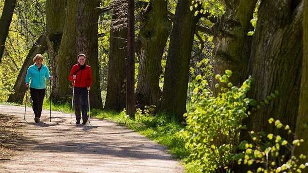 Za zdrav plce. Pochod Hradcem s holemi na nordic walking na podporu vzniku Plicnho parku ve fakultn nemocnici.