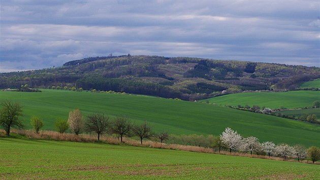 Litenick pahorkatina