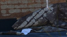 Vítr utrhl v karlovarském letném kin� promítací plátno.