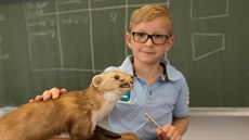 Ilustra�ní snímek