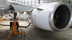 Pro práci na nových docích pro letecké mechaniky byl Boeing 737-800 nadzvednut...