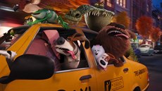 Trailer k filmu Tajný �ivot mazlí�k�