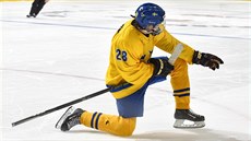Semifinále MS do 18 let:  �védský kapitán Linus Lindström se raduje z...