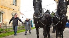 Jiina Vejnarová z Lhoty pod Hoikami oslavila sto let 24. dubna 2016. Na...