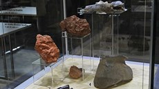 Vitríny ve vstupní budov� Archoparku v Chot�buzi