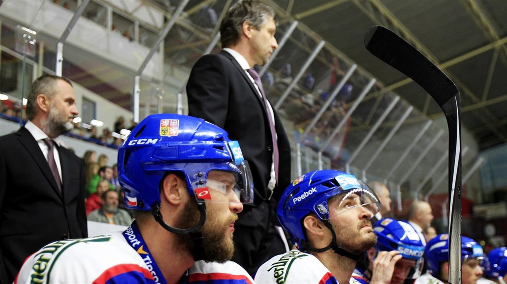 St�ída�ka hokejové reprezentace b�hem utkání Euro Hockey Tour proti �védsku.