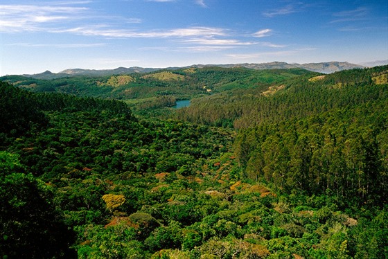 Indické jezero Berijam uprosted les ve stát Tamilnádu na jihu zem