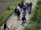 Migranti na cestě do tábora v Idomeni na hranicích Řecka a Makedonie. (5....