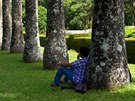 Botanická zahrada v Kandy poskytuje nejednu píjemnou monost k odpoinku a...