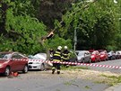 U luáneckého parku v Brn spadl strom a rozmákl zaparkované auto.