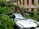 U luáneckého parku v Brn spadl strom a rozmákl zaparkované auto.