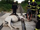 Hasi�i vypro��ovali kon�, kter�mu se na �elezni�n�m p�ejezdu v �eporyj�ch...