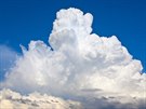 Cumulonimbus (esky deov kupa). Mohutn oblak v podob hor nebo obrovskch...