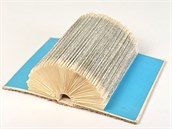 MDVV Lidice 2016, kategorie prostorové objekty