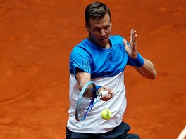 Tom Berdych v duelu s Davidem Ferrerem.