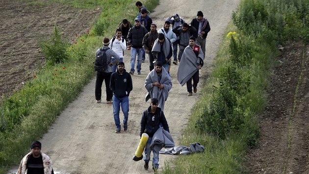 Migranti na cest do tbora v Idomeni na hranicch ecka a Makedonie. (5. kvtna 2016)