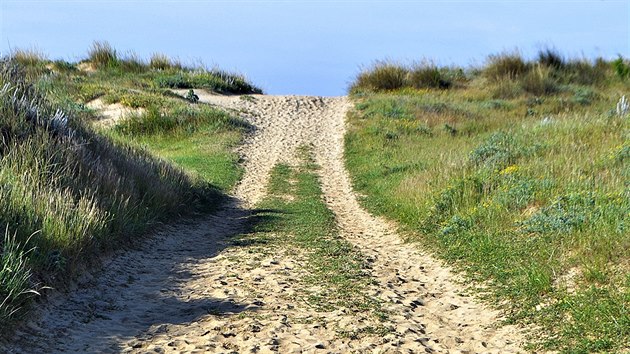 Cesta kmoi vede msty pes nevrazn ps psench dun (Punta Umbra).