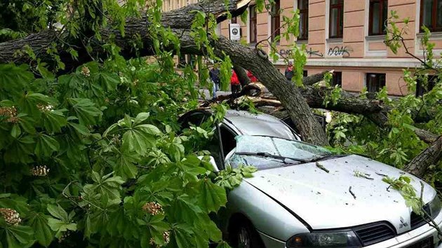 U luneckho parku v Brn spadl strom a rozmkl zaparkovan auto.