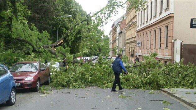 U luneckho parku v Brn spadl strom a rozmkl zaparkovan auto.