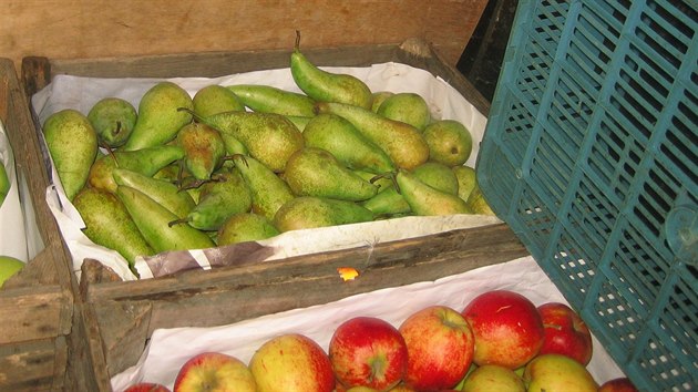 V rukou celníku skončily i bedny s hruškami a jablky.