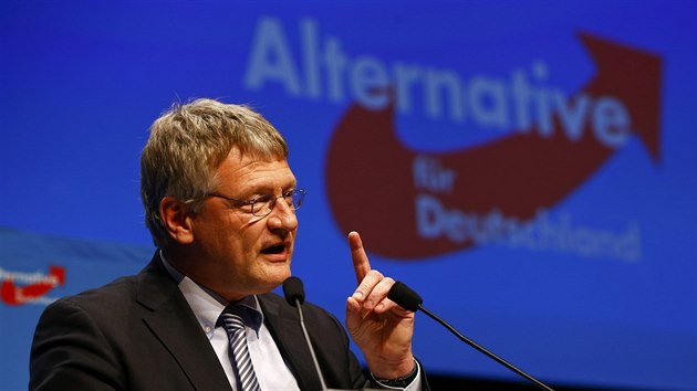 Regionln ldr Alternativy pro Nmecko Jrg Meuthen na stranickm sjezdu.