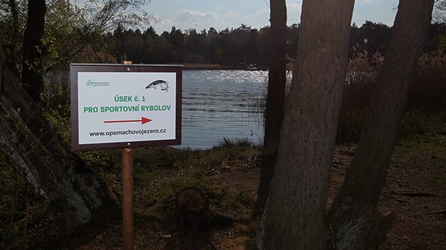 Po 35 letech se vrtil na Mchovo jezero sportovn rybyolov.