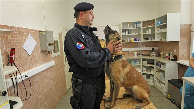 Policejn psovod Josef Kubek, se svm psem Adebayorem, kter byl bhem policejn mise v Makedonii utknut hadem. Vylili jej ve Vojenskm veterinrnm stavu v Hlun.