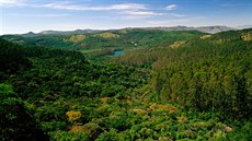 Indické jezero Berijam uprosted les ve stát Tamilnádu na jihu zem