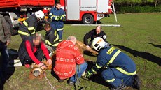 Veteriná dal koni tiící prostedky.