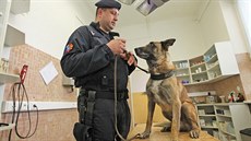 Policejní psovod Josef Kubíek, se svým psem Adebayorem, který byl bhem...