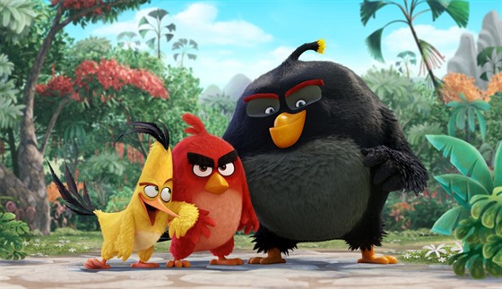 Pokračování filmu Angry Birds je plánováno na rok 2019.